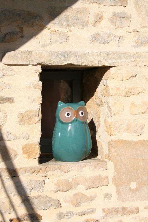 La Villa Des Chouettes Maisons-lès-Chaource Exteriér fotografie